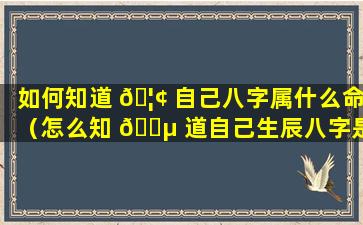 如何知道 🦢 自己八字属什么命（怎么知 🌵 道自己生辰八字是什么属什么）